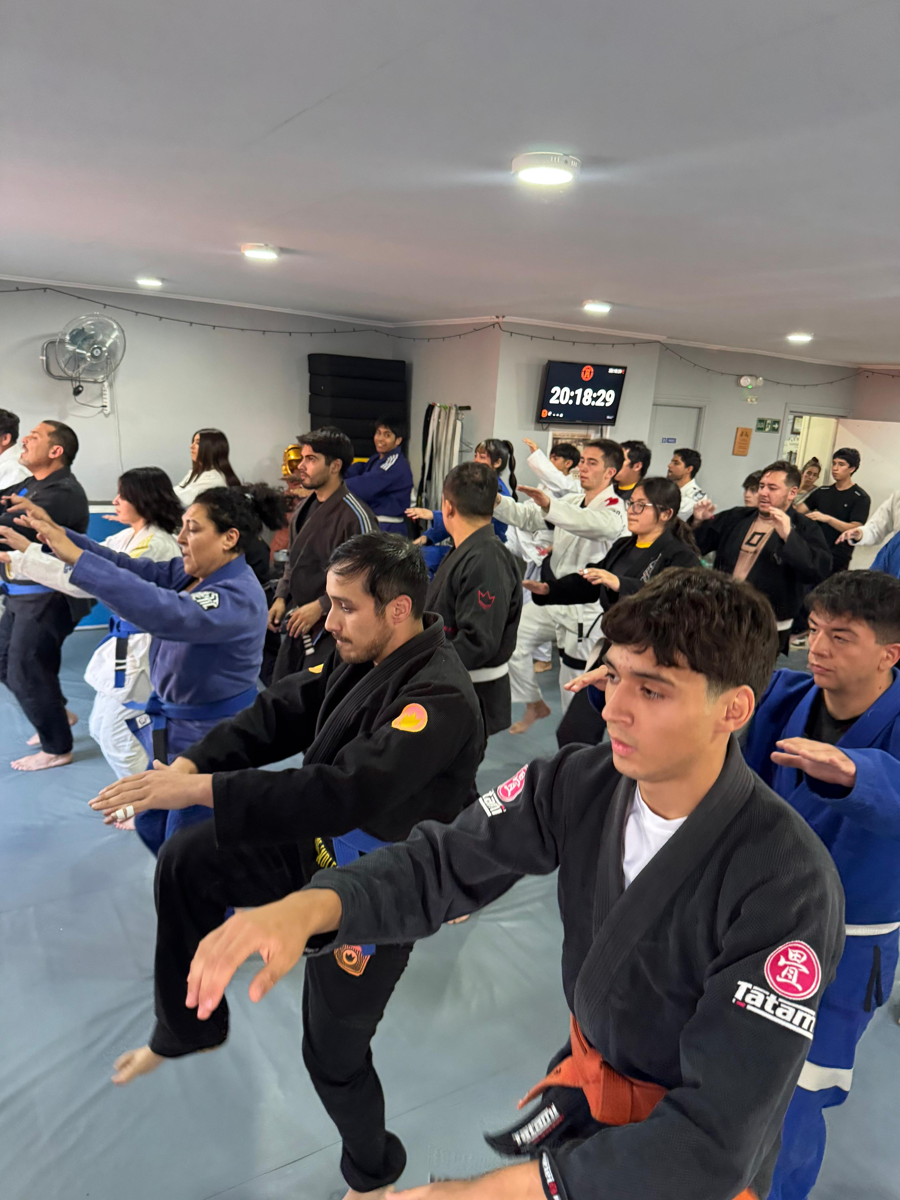 Entrenamiento diario